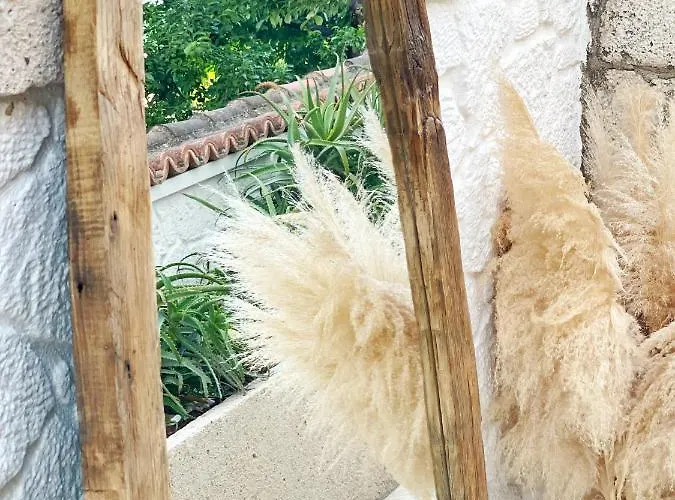 Anit ホテル アラカティ