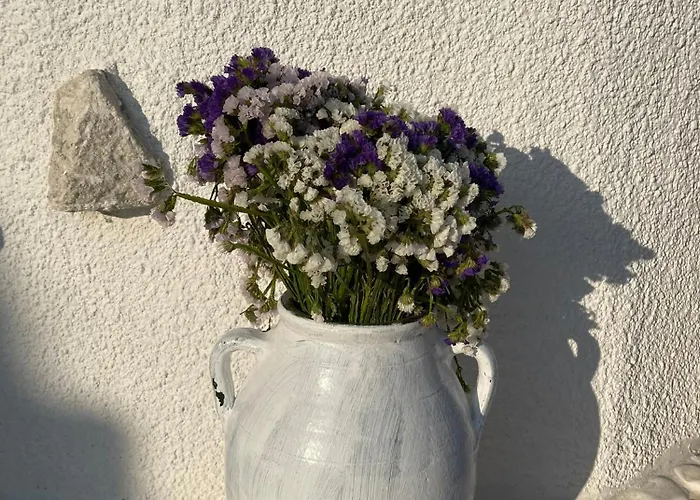 Anit ホテル アラカティ