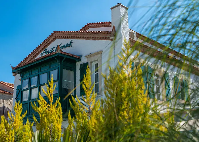 ホテル Anit アラカティ