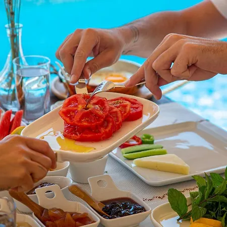 Ξενοδοχείο Anit